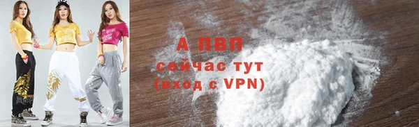 стаф Инта