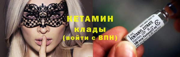 стаф Инта