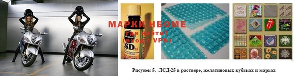 стаф Инта