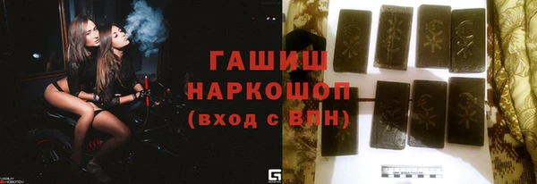 стаф Инта