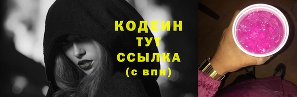 стаф Инта