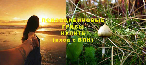 а пвп мука Иннополис