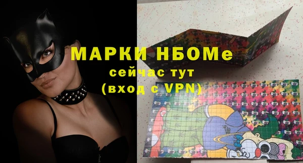 стаф Инта