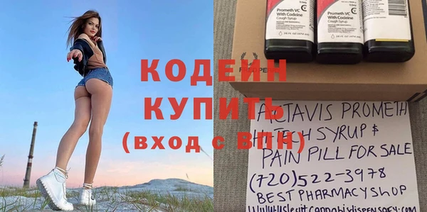 стаф Инта