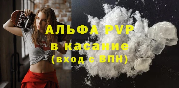 стаф Инта