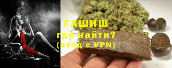 стаф Инта