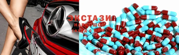 стаф Инта