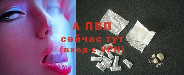 стаф Инта