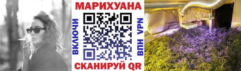 Купить Межгорье Конопля AK-47